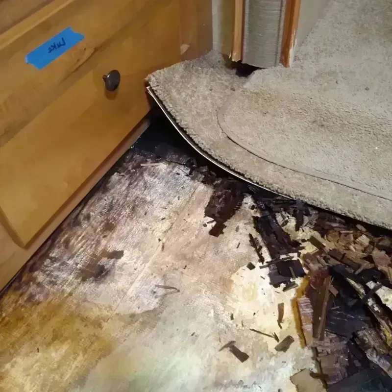 Wood Floor Water Damage in Allegan, MI